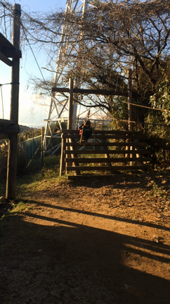 冬休みの記事動画