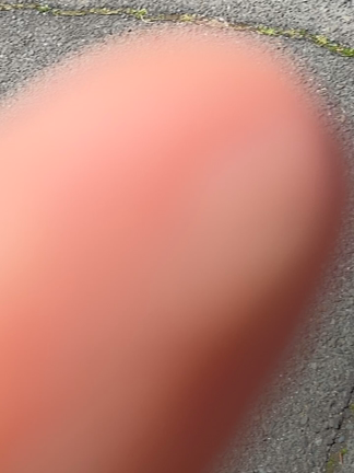 楽しかったー！美味しかったー！六甲牧場の記事動画