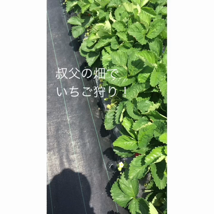 [動画]昨日の出かけの話と素敵なガラス作家さんとの出会い。の記事動画