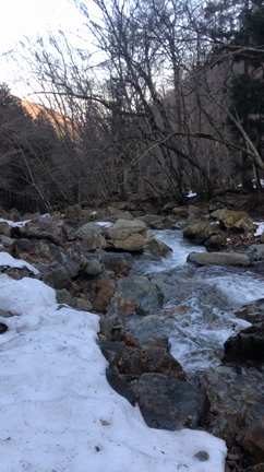 今年の猟を無事、終えたこと。の記事動画