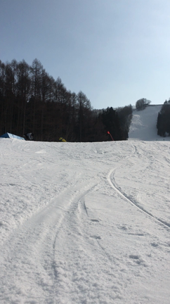 今年はの記事動画