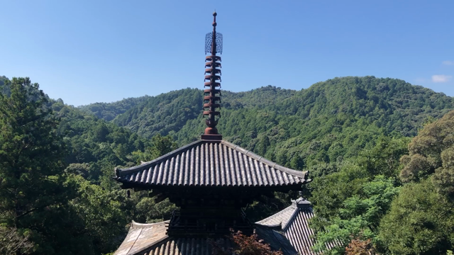 おったんと私の記事動画