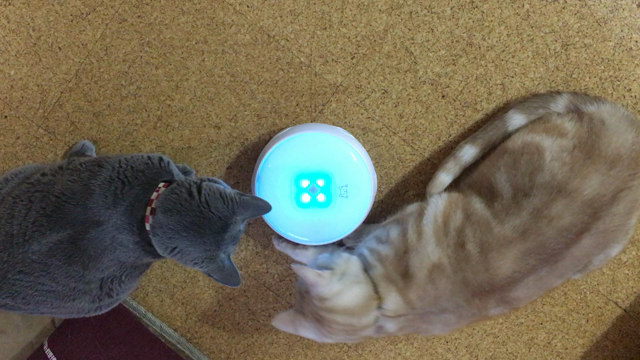 クリスマスプレゼント その1の続きの記事動画