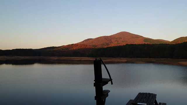 紅葉、黄葉が綺麗の記事動画