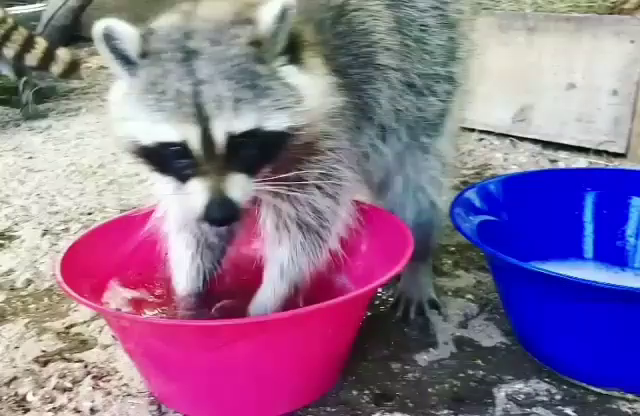 みんながんばろう〜の記事動画