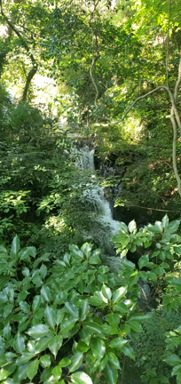 ふらっと‥パワーチャージの記事動画