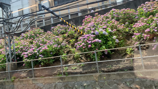 ベーカリーカフェ・クラウンの記事動画