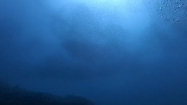 精力ギンギンの記事動画