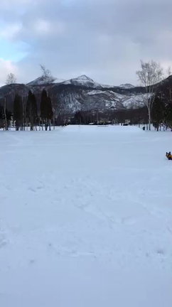 初雪遊びの記事動画