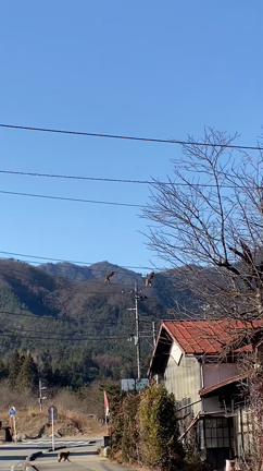 2020/12/30の記事動画