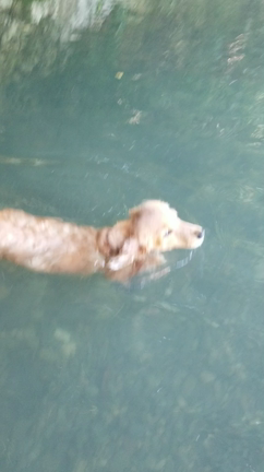 こーなるわなっ❗の記事動画