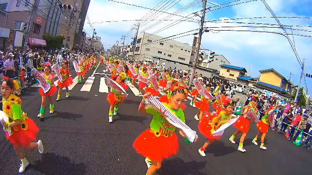 福山バラ祭り✧‧˚の記事動画