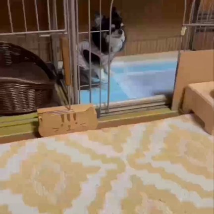 雷と屁っ放り腰の記事動画