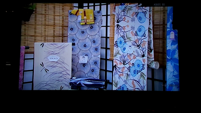 天野愛繪、テレビ出演シーンの記事動画