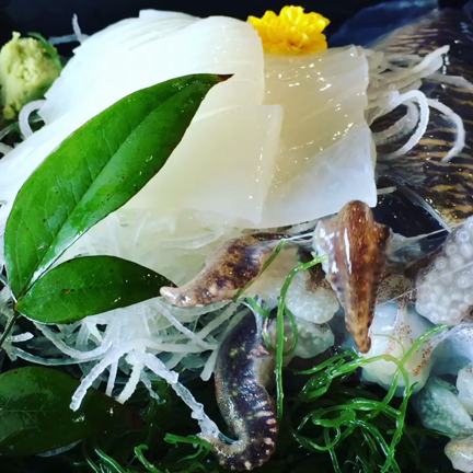 ワンコと一緒に唐津１泊旅行〜呼子編〜の記事動画