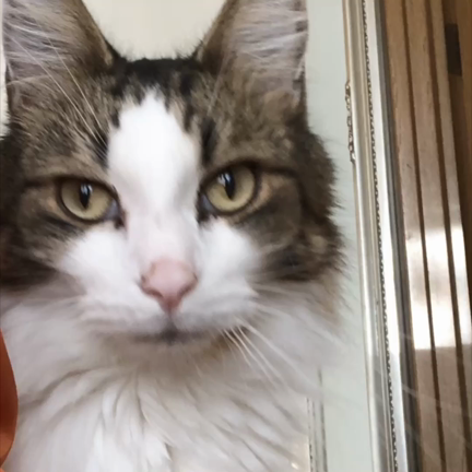 空君の独り言の記事動画