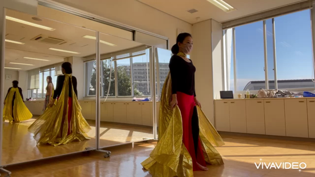 オンラインレッスンのお知らせの記事動画