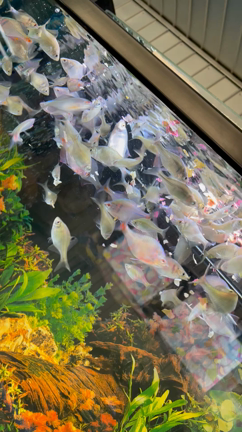 7月25日の記事動画