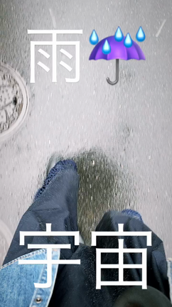 雨ですさいならの記事動画
