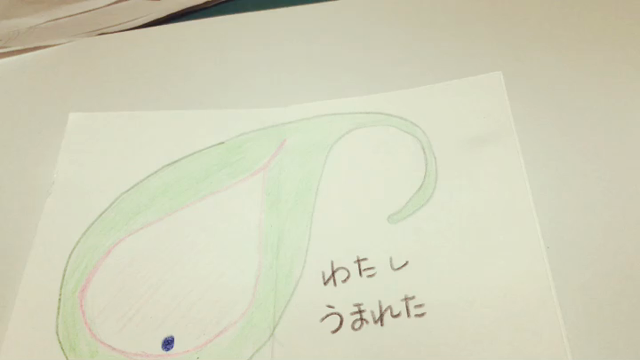 感動の涙 悔し涙 ありがとうの記事動画