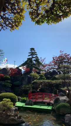 秋の庭園の記事動画