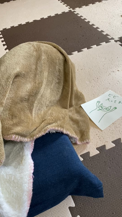 ビーちゃんの記事動画