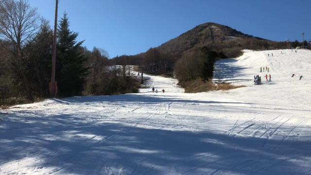 ウィンタースポーツの記事動画