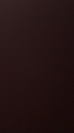 相方の記事動画