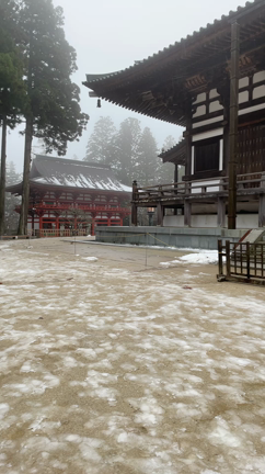 『冬の高野山』心身清まる想いの記事動画