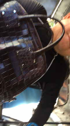 セブ島紀行 番外動画編の記事動画