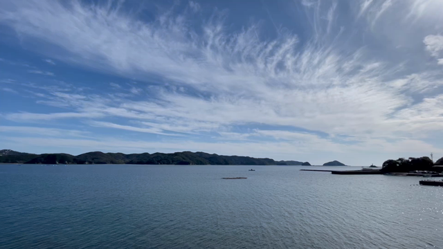 海辺にドライブの記事動画