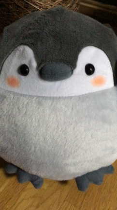 『イマジン？』の記事動画