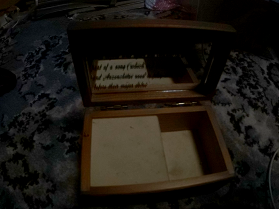 「見つめていて」アマチュア時代曲の記事動画