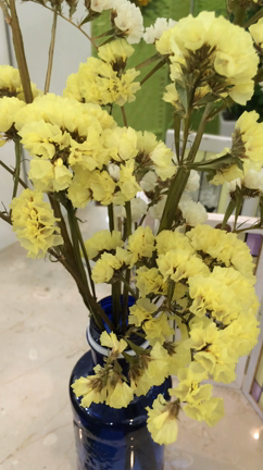 アナンダからのメッセージ  動画編の記事動画