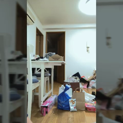 告知。の記事動画