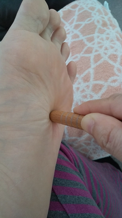 抗体を作るありがたい臓器　脾臓さんの記事動画