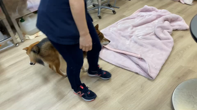 朝の夏実の記事動画