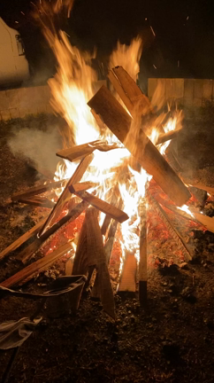 芸術の秋の記事動画