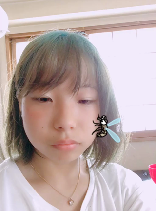 8/15御礼文❣️の記事動画