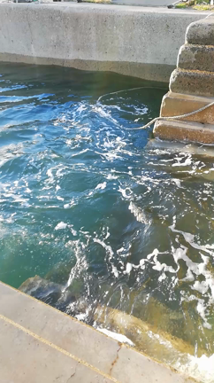 キレイな緑龍が出てきたよ！〜先日のチャクラセラピーの記事動画