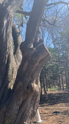 本来の自分を生きる喜びの記事動画