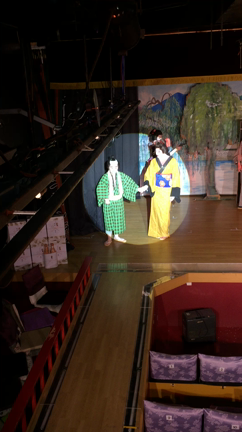 ちょうちょの勇姿の記事動画