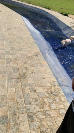 2度目の『ランバードッグフィールド』に来たょ☆の記事動画