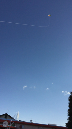 たこあげの記事動画