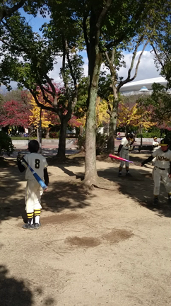 動画初アップの記事動画