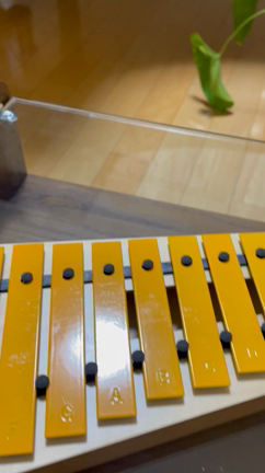 名前を変更しました♪の記事動画