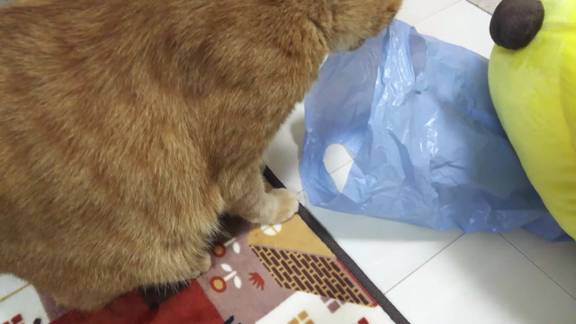 穴があったら…の記事動画
