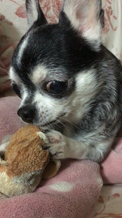 久々撮れましたヽ(´▽｀)/の記事動画