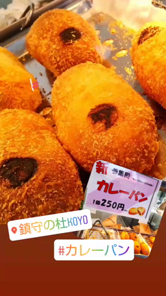 参集殿カレーパン、美味しいよー♪(2021.5.22)の記事動画