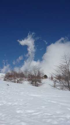 富士山遊びの記事動画